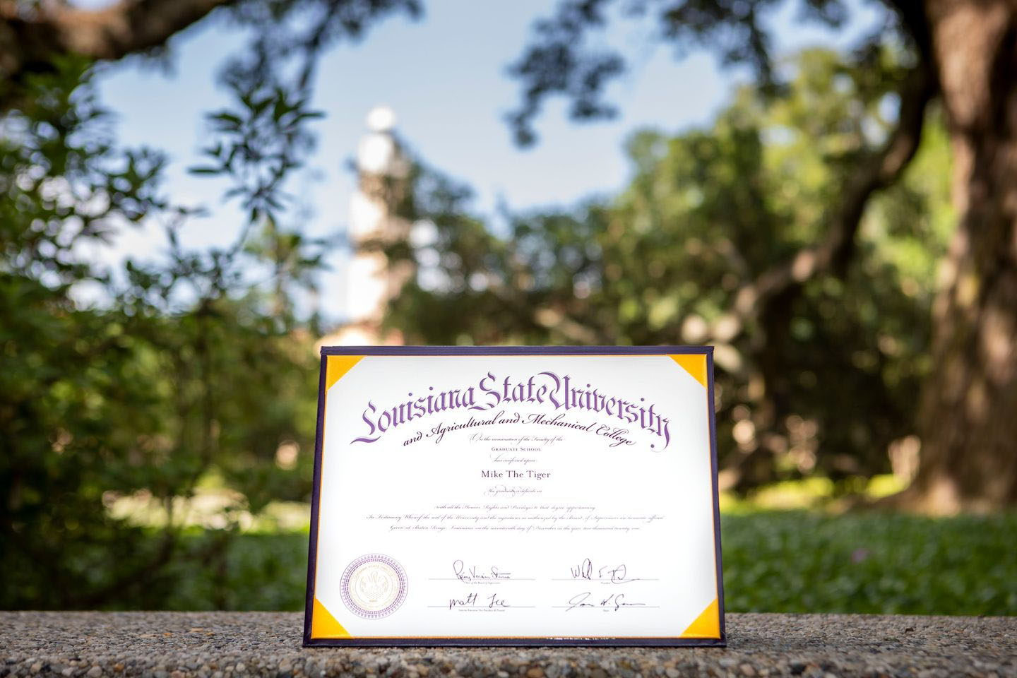 new lsu diploma