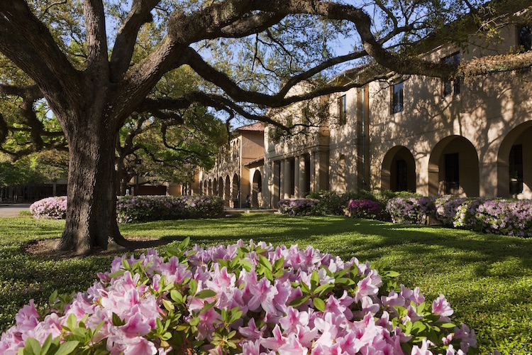 lsu quad