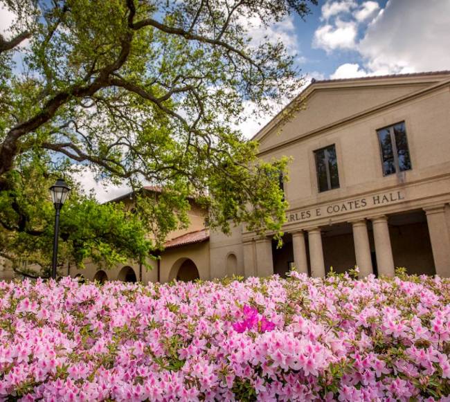 lsu quad