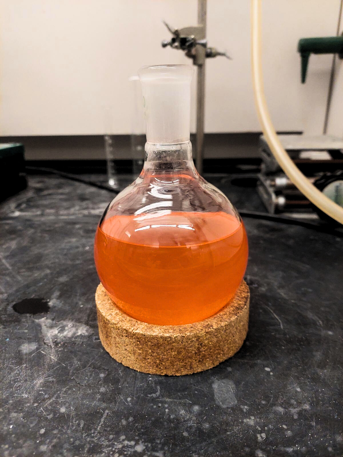 Cyclization to form a lactam synthon