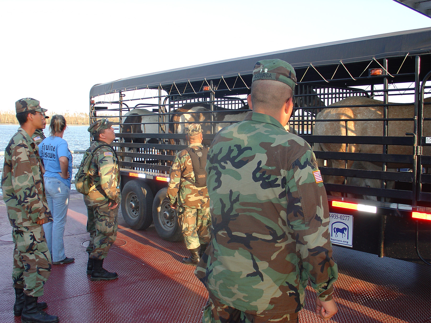 horses in a trailer on a ferry dock with National Guard troops