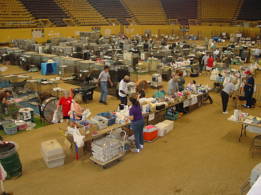 arena floor of Parker Coliseum